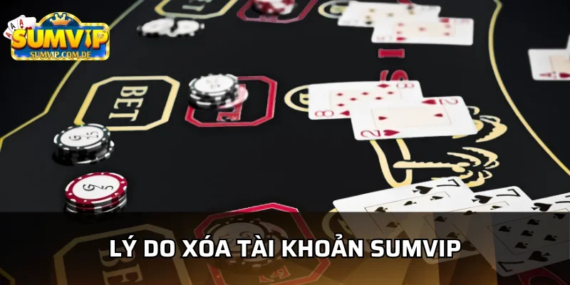 Những lý do người dùng xóa tài khoản sumvip